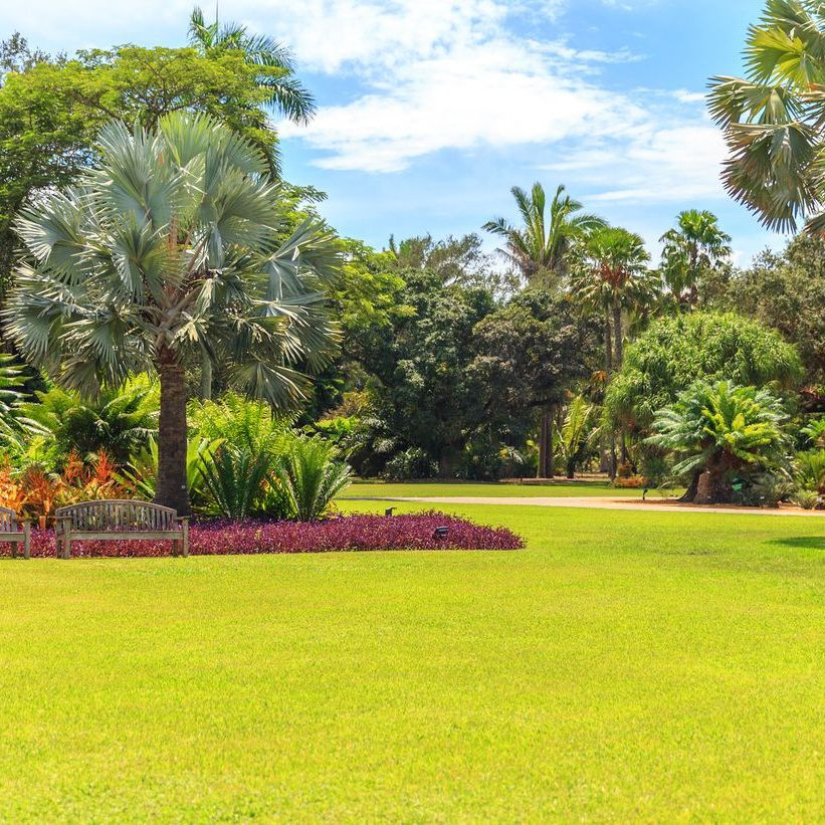 Top Lawn Care Mistakes Tampa Homeowners Should Avoid