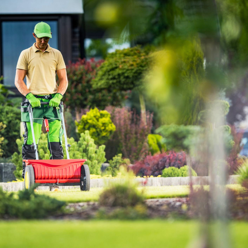 Your Oasis Outdoor Care Lawn Care vs. Landscaping Maintenance What’s the Difference