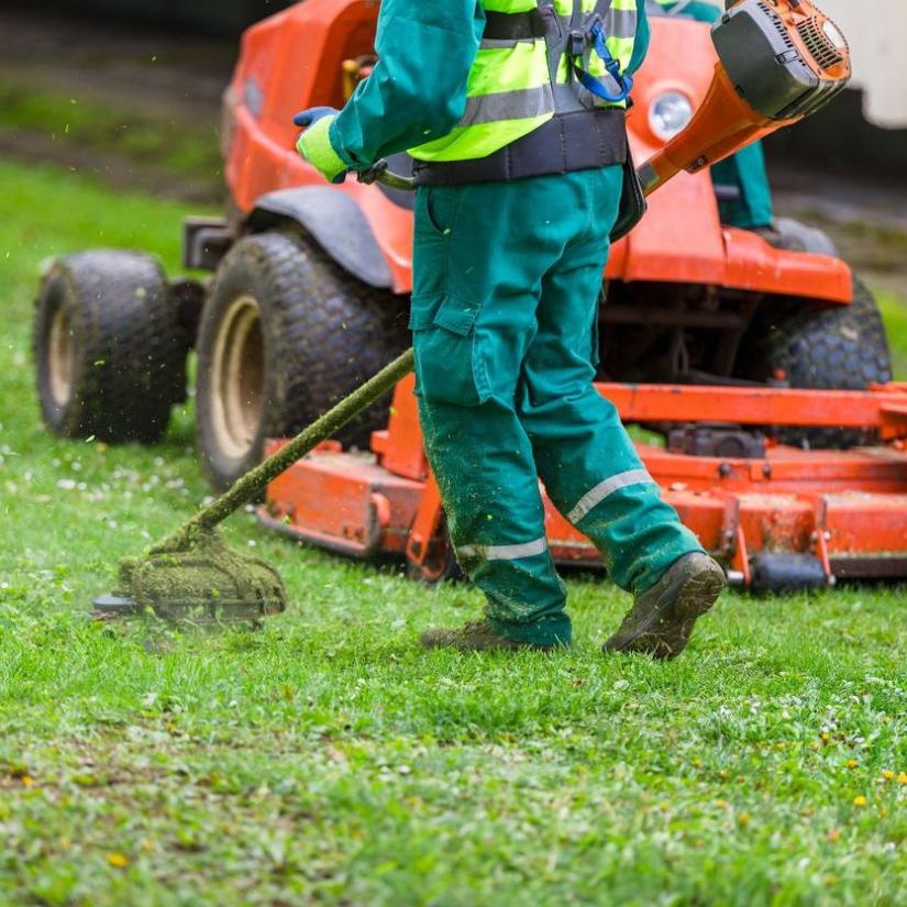 Your Oasis Lawn Care Landscapers Mistakes That Can Ruin Your Lawn