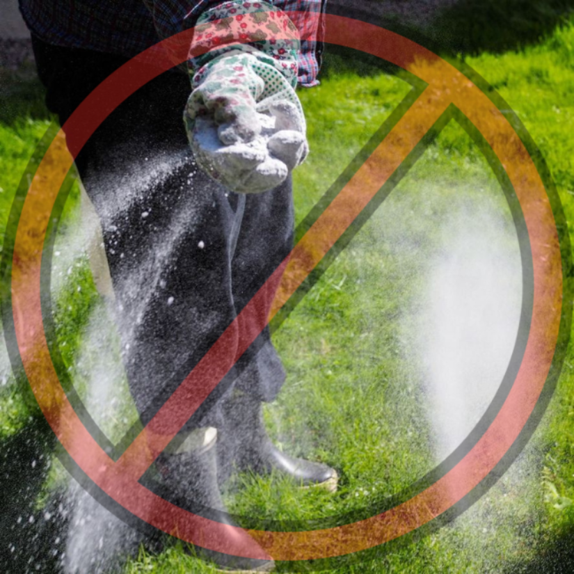 Your Oasis Lawn Care Why DIY Lawn Fertilization Can Do More Harm Than Good